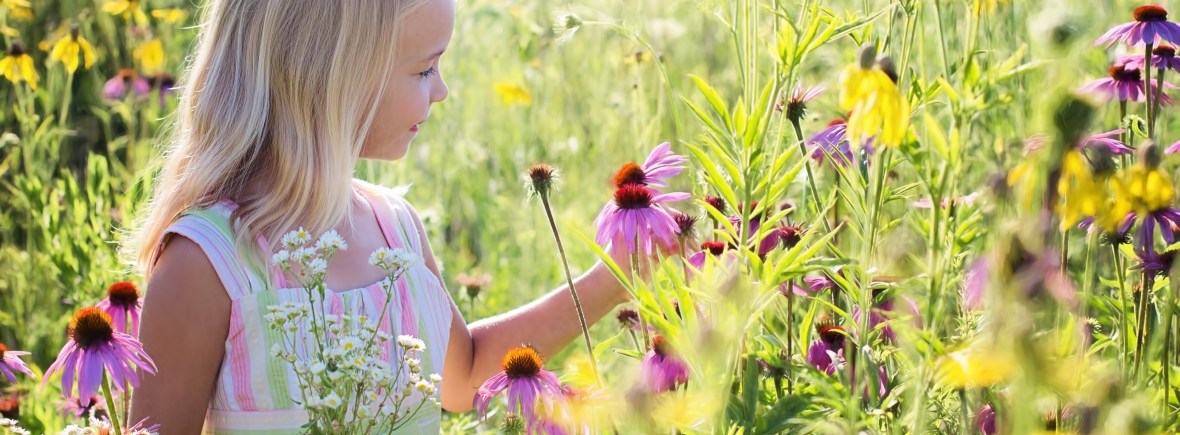 Choisir ses fleurs, un jeu d'enfant