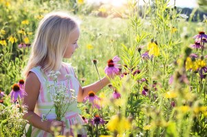 Choisir ses fleurs, un jeu d'enfant