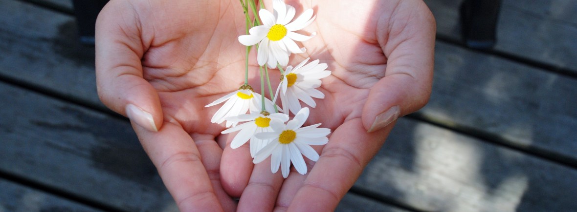 Offrir une séance conseil