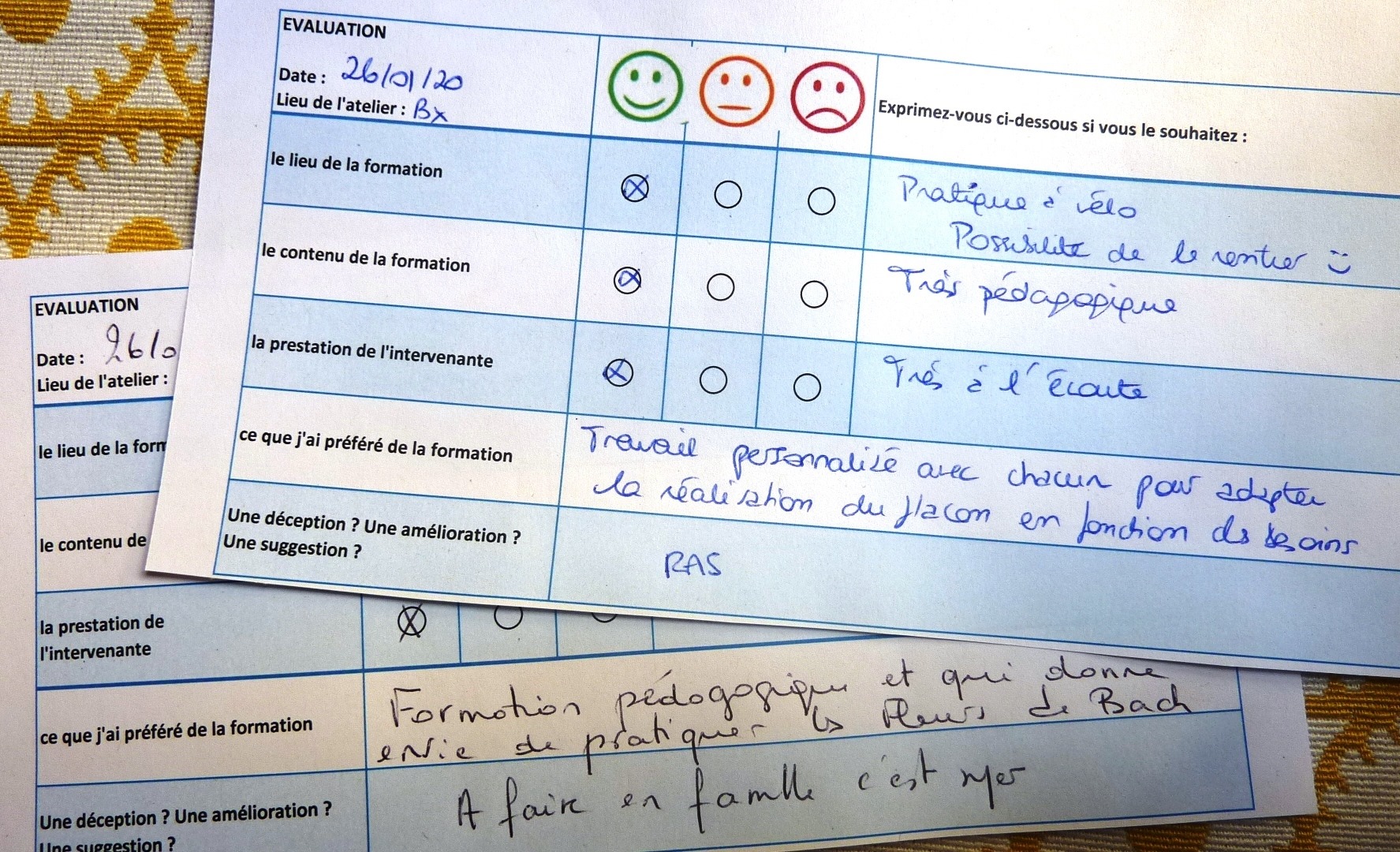 Formation fleurs de Bach