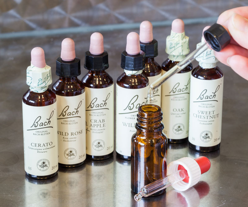  flacon de teintures mères de fleurs de Bach en arrière plan, et en premier plan une main qui verse des goutte dans un flacon brun vide 30 ml à l'aide d'une pipette compte-goutte dont le capuchon rouge et blanc est posé au pied du flacon brun.
