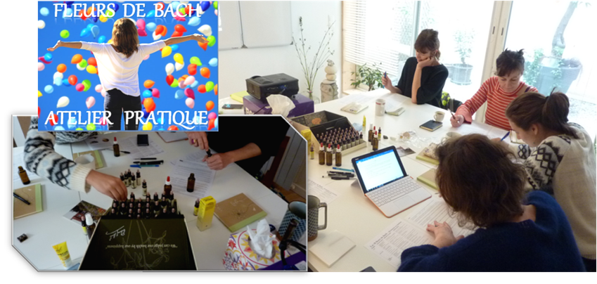 Cette image a un attribut alt vide ; le nom du fichier est at-maison-indigo.png