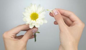 Une main féminine effeuille les pétales blanches d'un marguerite