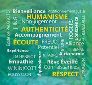 La TBSI en pêle-mêle 