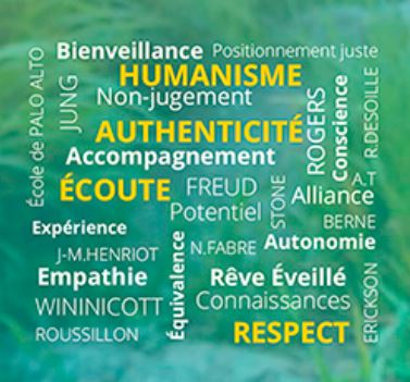 Pêle-mêle des valeurs et ressources de la thérapie brève self inductive