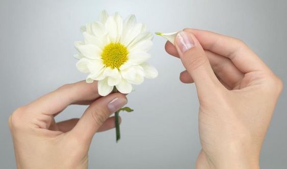 Cette image a un attribut alt vide ; le nom du fichier est un-peu-beaucoup....jpg