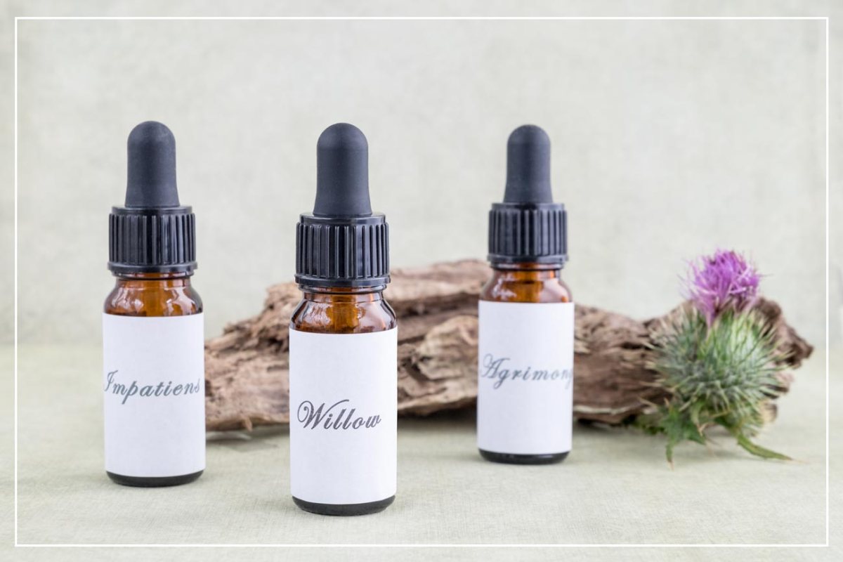 mélange de fleurs de Bach