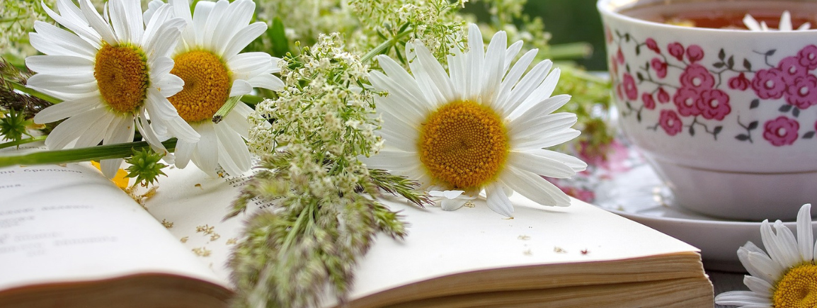 apprendre les fleurs de Bach