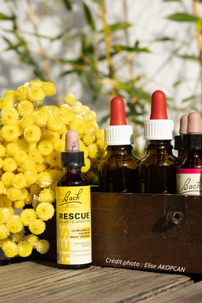 Flacon 10ml du Rescue Remedy près d'un coffret de bois contenant des flacons de teintures mères et des flacons bruns de 30ml avec sur la gauche un bouquet jaune de fleurs immortelles jaunes. Photo de elie AKOPCAN.