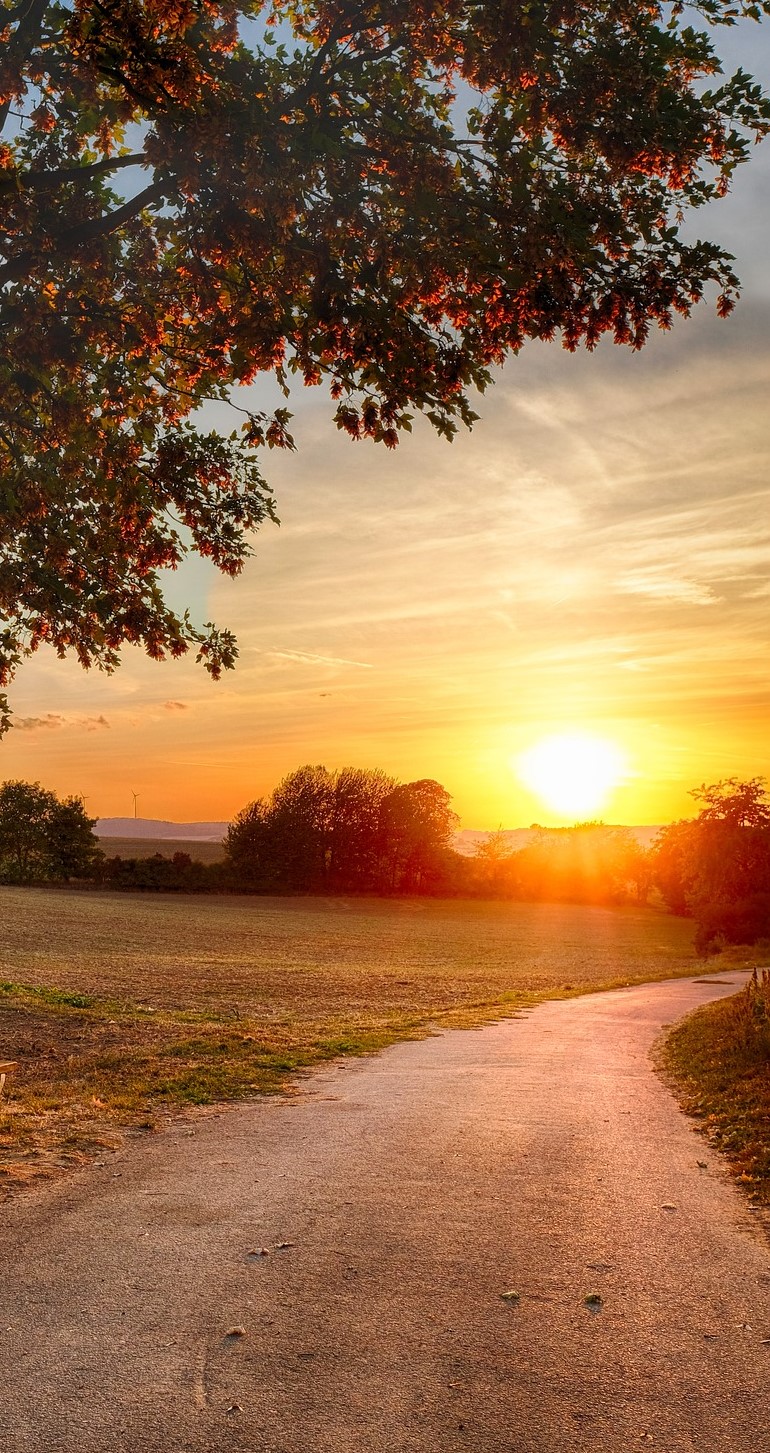 Prendre le chemin qui mène à votre lumière